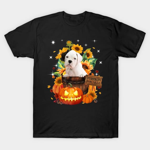 White Boxer Halloween Pumpkin Fall Bucket T-Shirt by Marcelo Nimtz